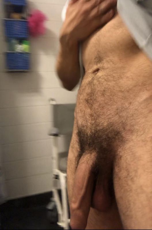 frontal hairy hard cock