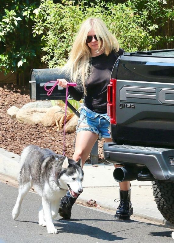 avril lavigne akirt