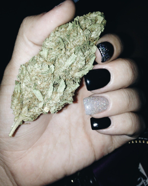 shotgun kissing weed girl