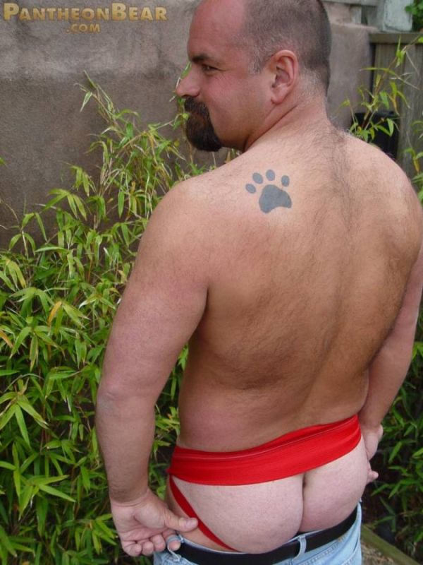 handsome bear man