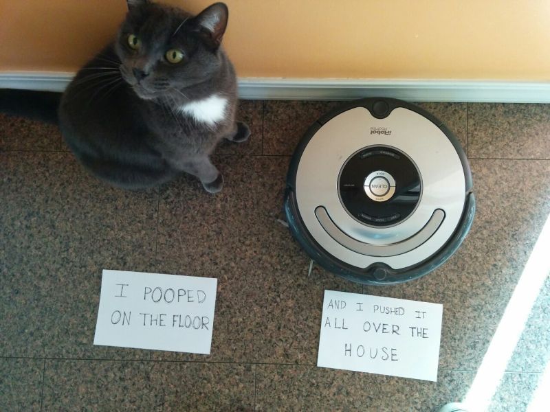pet shaming signs