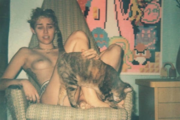 porn gif