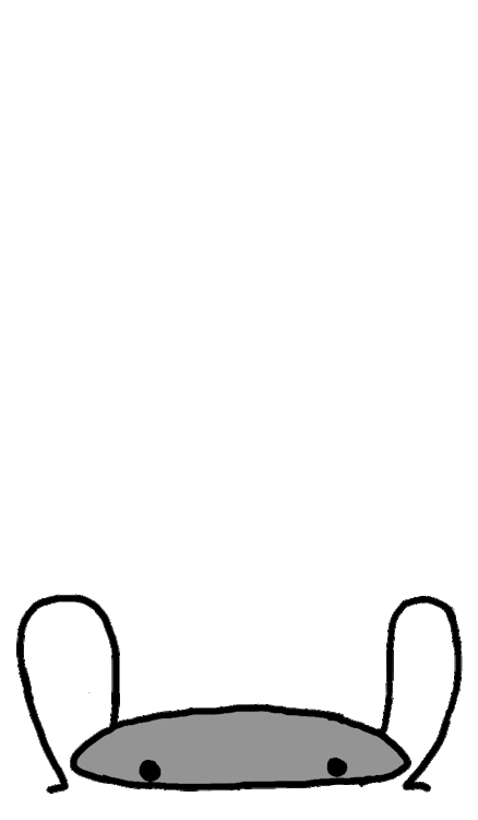 ball animation
