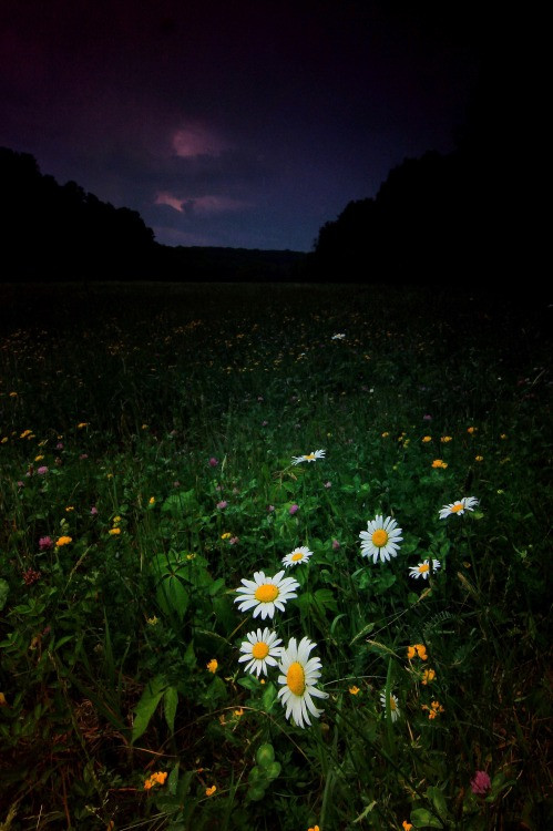 photography blogs
