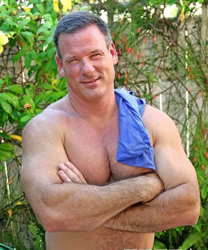vintage ace bear