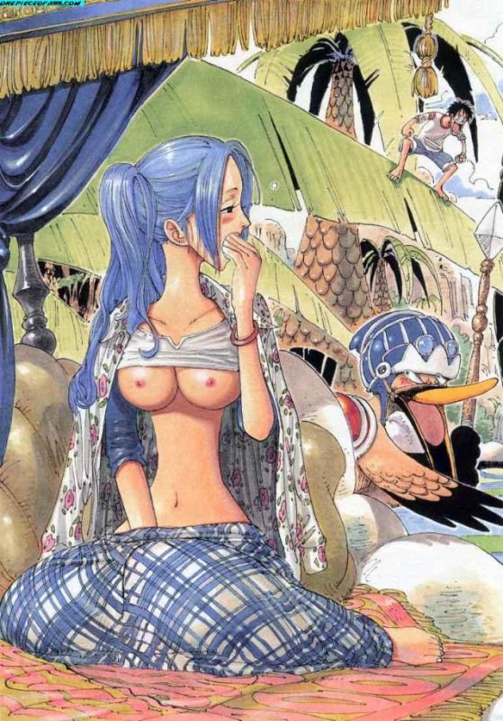 koala one piece anime