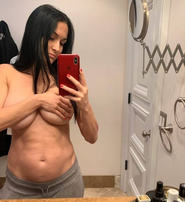 nikki bella wwe diva of year