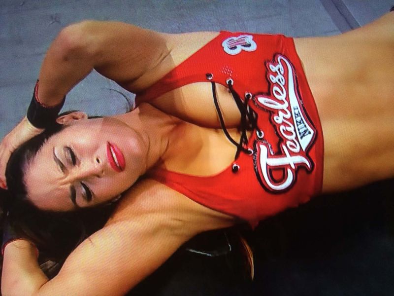 bella twins wrestling