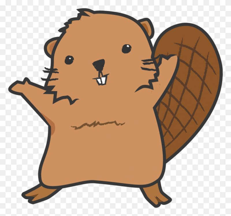 raccoon beaver furry
