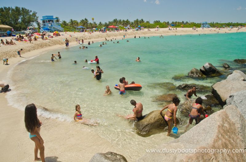haulover inlet florida wild