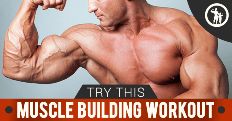 workout routine for men to build muscle