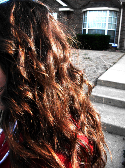 natural hair high bun hairstyles