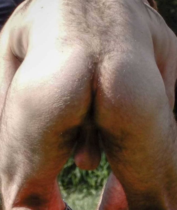 gay hairy hole