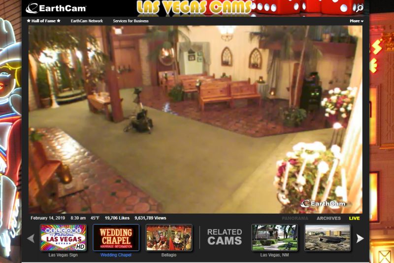 webcams for home production