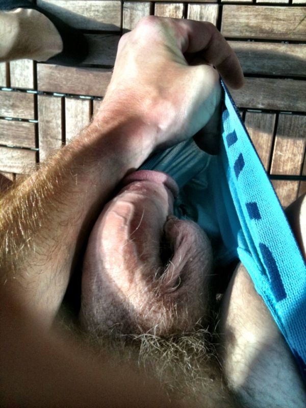 hairy cougar