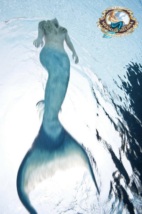 mermaid cover