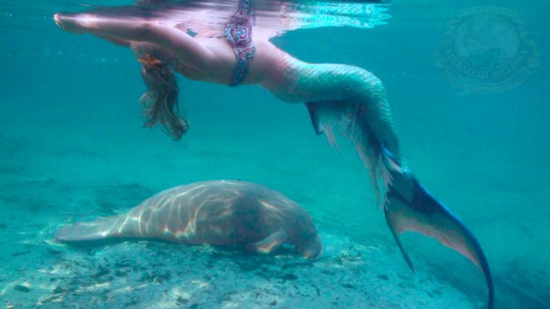 real life mermaid pictures scary