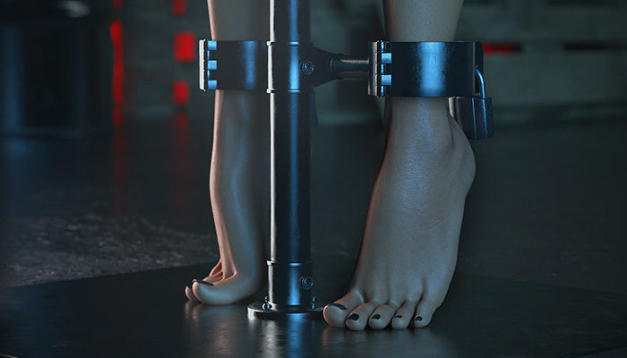 law enforcement restraint boards