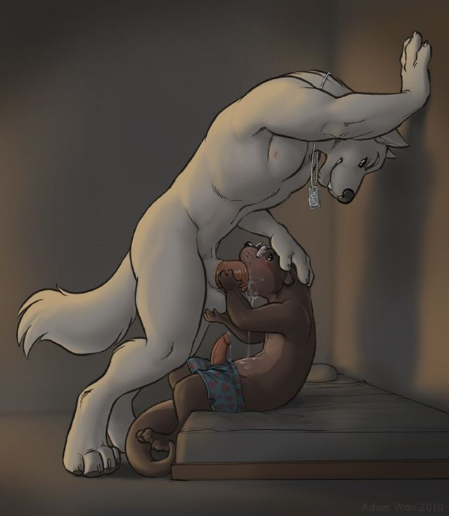 giant otter cute