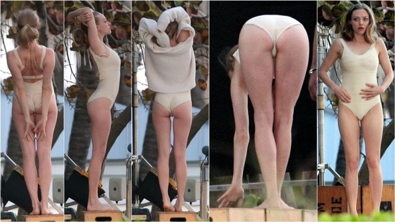 amanda seyfried the art of racing in the rain