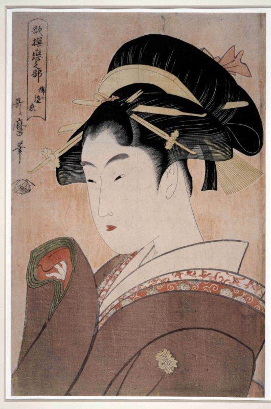 kappa shunga