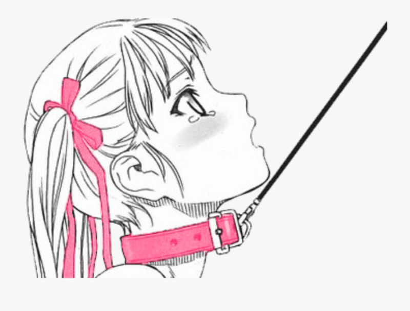 on a leash manhwa nim