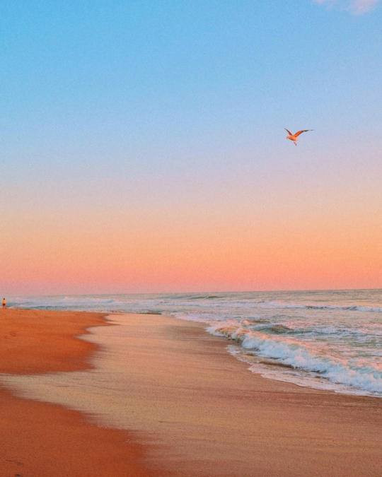 tumblr beach blue