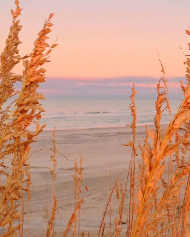 tumblr beach water