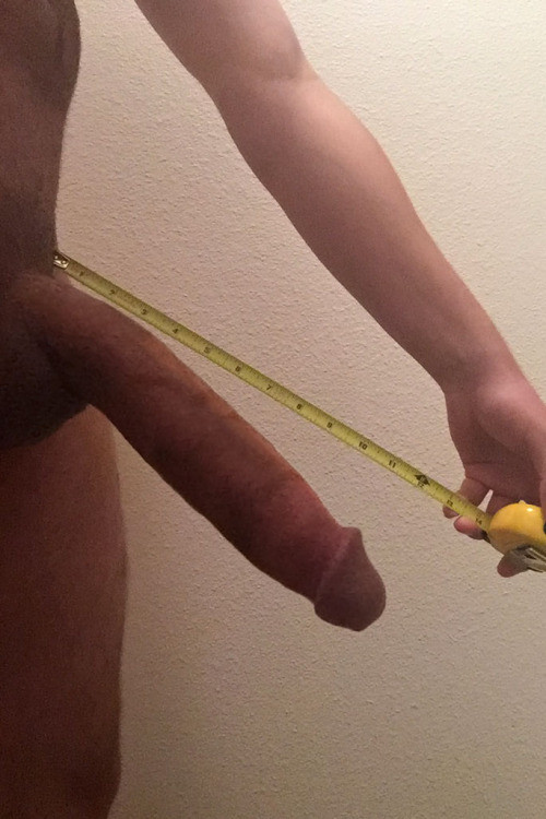 cock gif