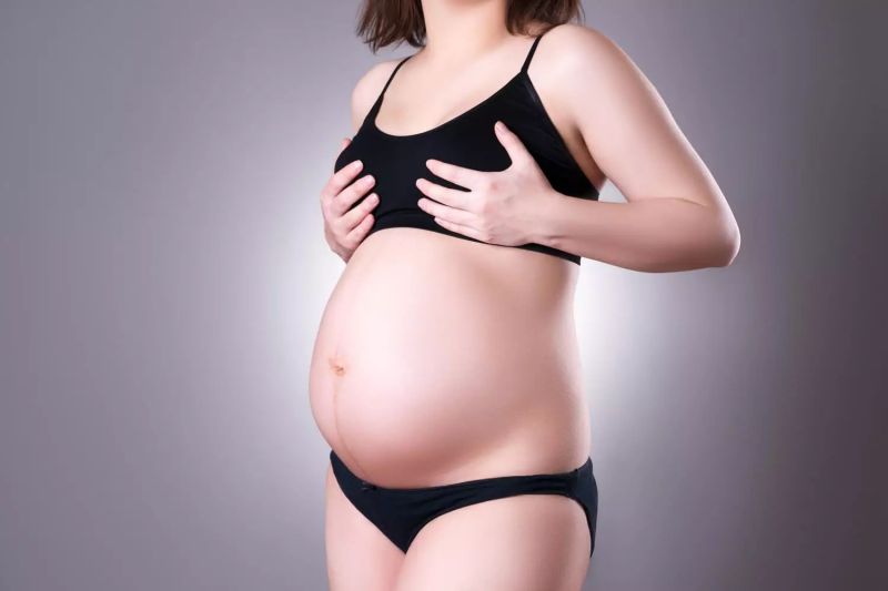 mammary pregnant