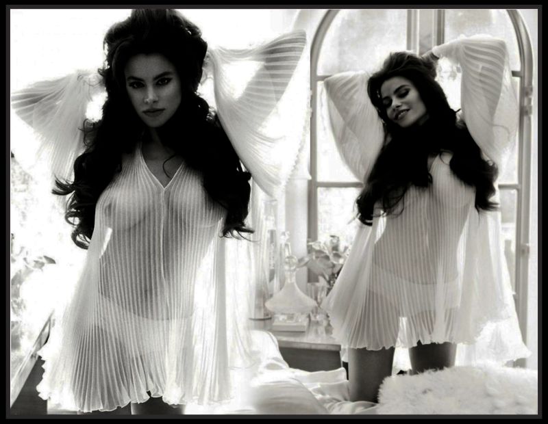 sofia vergara costume