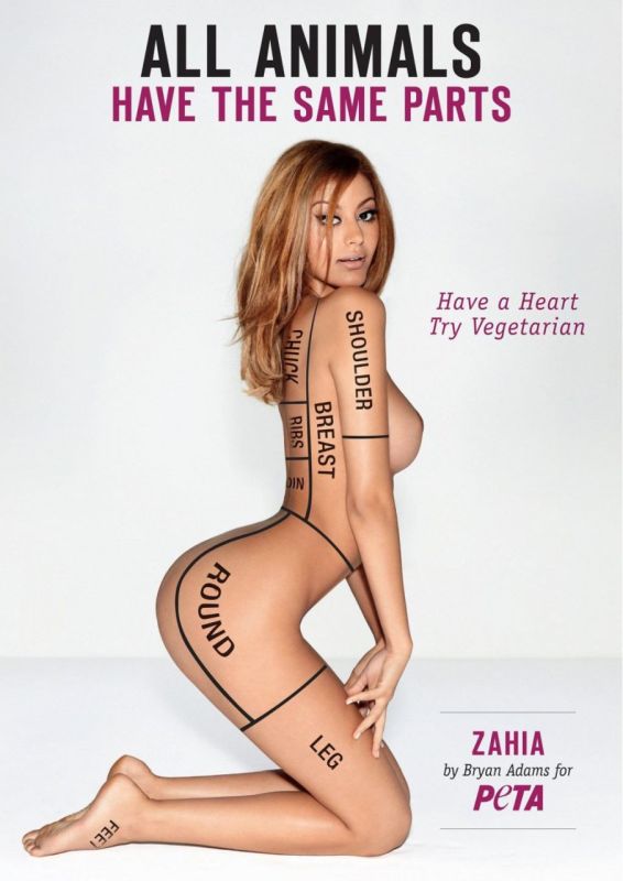 zahia dehar boutique
